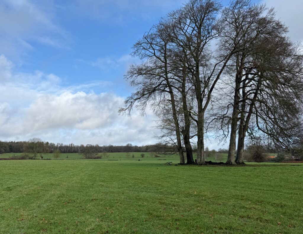Scenic photo of fields at Neston Park